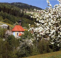 Kirche Pürgl im Frühling