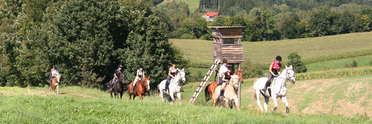 Header Neukirchen 018