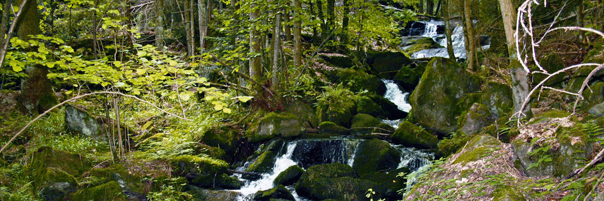 Header Neukirchen 024