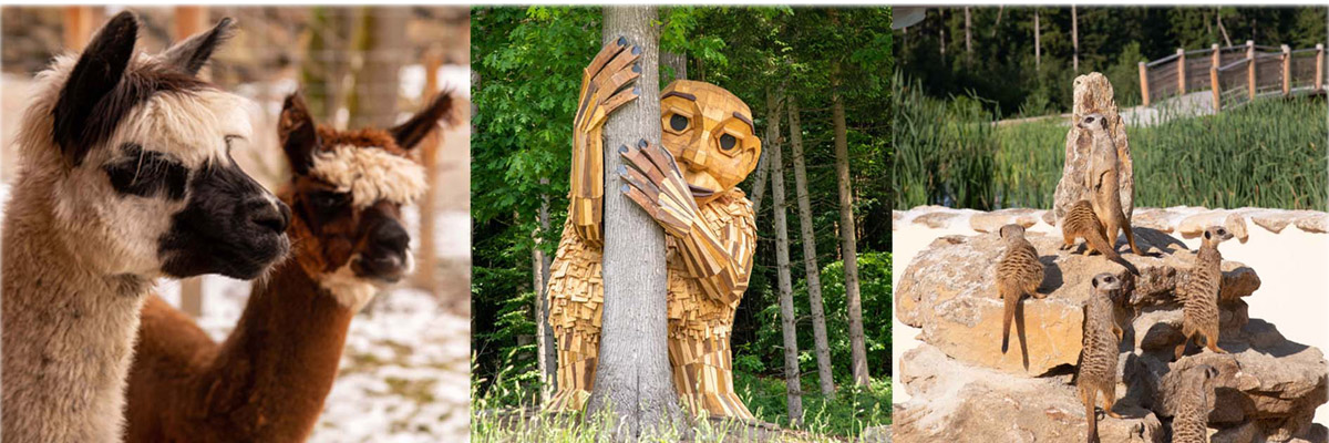 Header Neukirchen 049