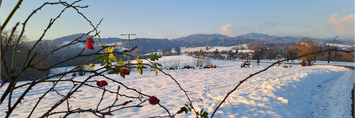 Header Neukirchen 059