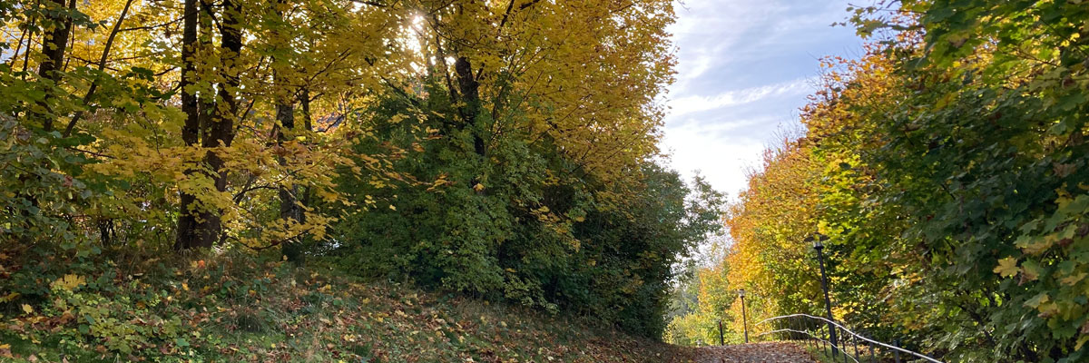 Header Hunderdorf 025 (herbst)